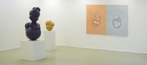 david fried contemorary art at projektraum4