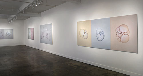 artist_david_fried_nyc_photograms_at_gallery_sara_tecchia