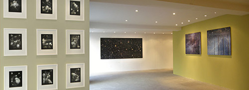 solo_david_fried_gallery_monos_belgium