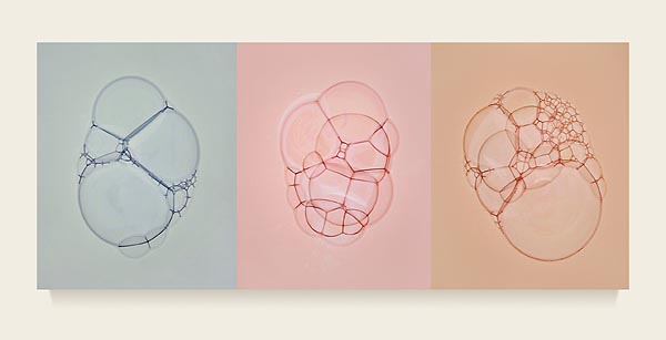 Color Photograms